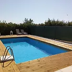 Ulivo * רגוזה