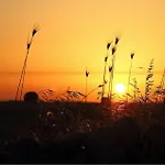 דירה Ulivo רגוזה