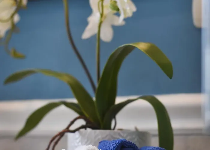 Διαμέρισμα Ulivo Ραγκούσα