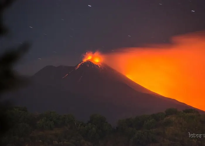Ulivo Διαμέρισμα Ραγκούσα