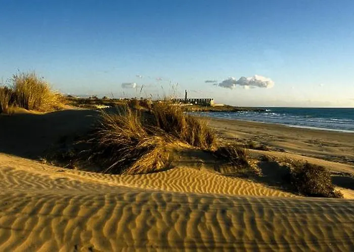 Ulivo * Ραγκούσα