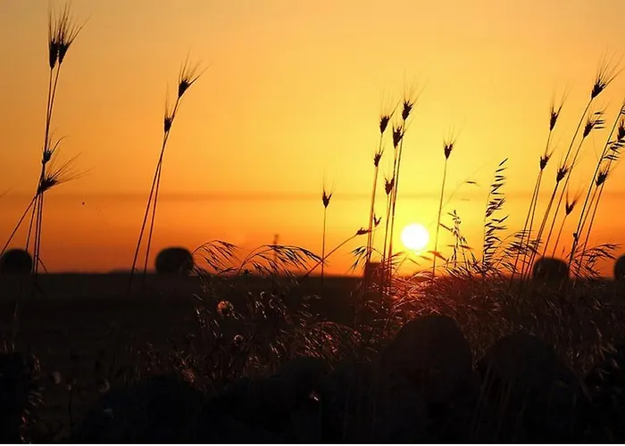 Διαμέρισμα Ulivo Ραγκούσα